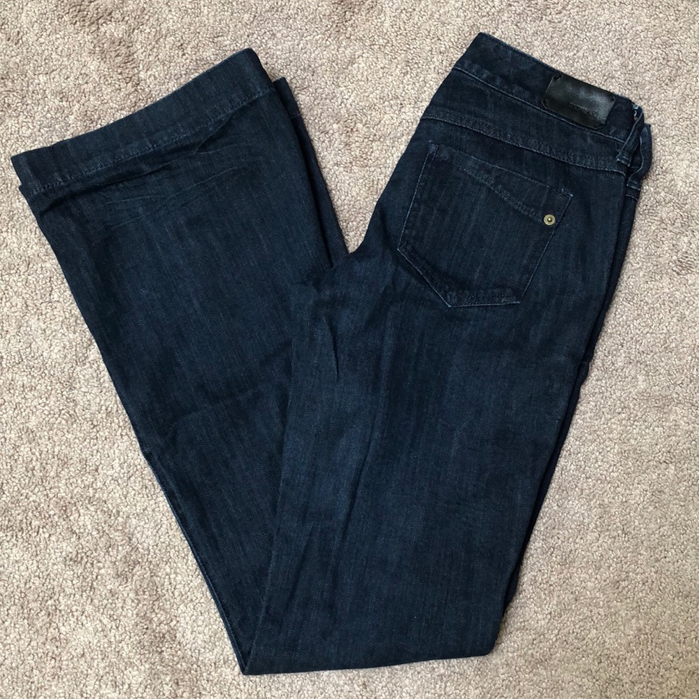 Express Fit and Flare Jeans